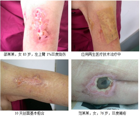 不朽情缘(中国)官方网站入口