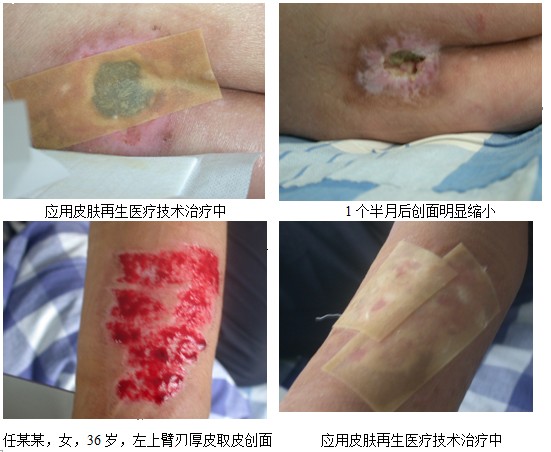 不朽情缘(中国)官方网站入口