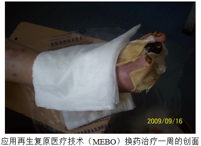 不朽情缘(中国)官方网站入口