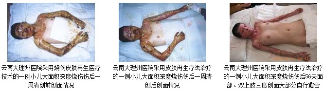 不朽情缘(中国)官方网站入口