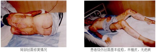 不朽情缘(中国)官方网站入口