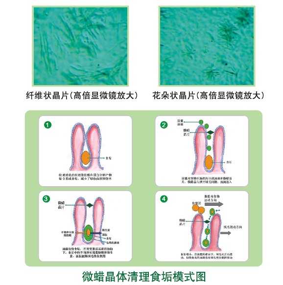 不朽情缘(中国)官方网站入口