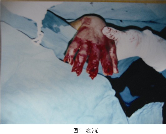 不朽情缘(中国)官方网站入口