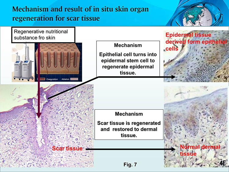 不朽情缘(中国)官方网站入口