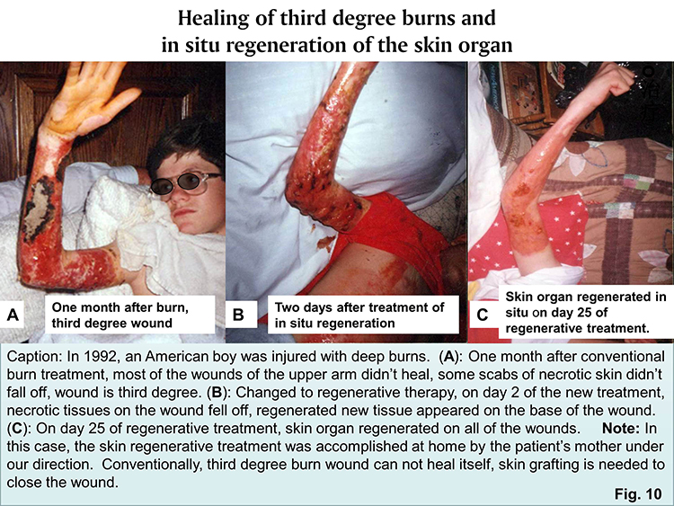 不朽情缘(中国)官方网站入口