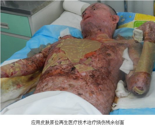 不朽情缘(中国)官方网站入口