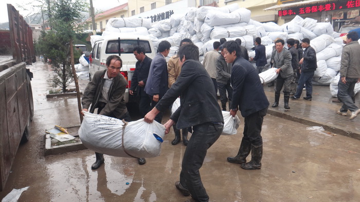 不朽情缘(中国)官方网站入口