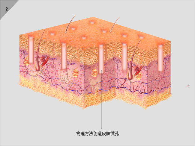 不朽情缘(中国)官方网站入口
