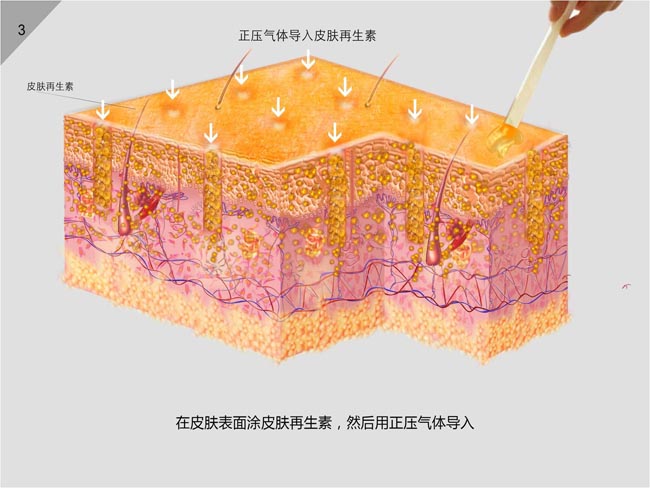 不朽情缘(中国)官方网站入口