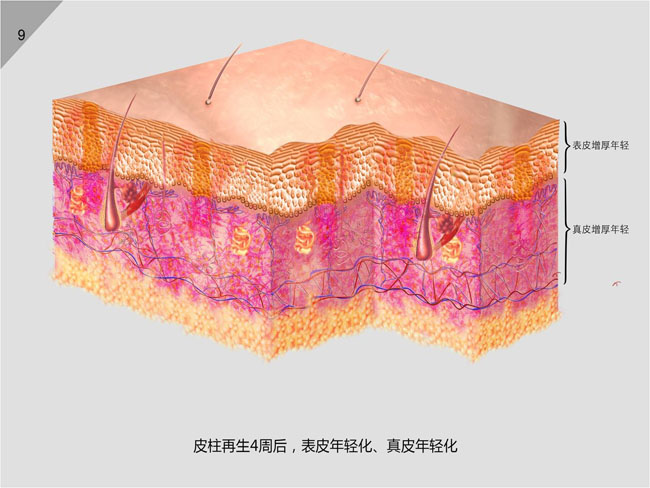 不朽情缘(中国)官方网站入口