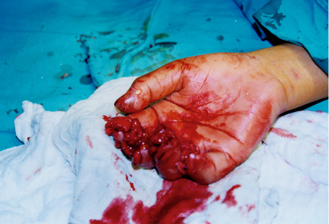 不朽情缘(中国)官方网站入口