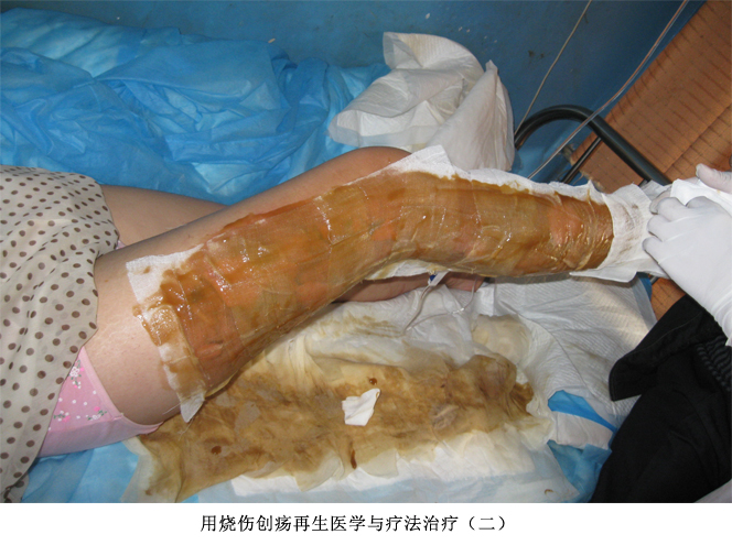 不朽情缘(中国)官方网站入口