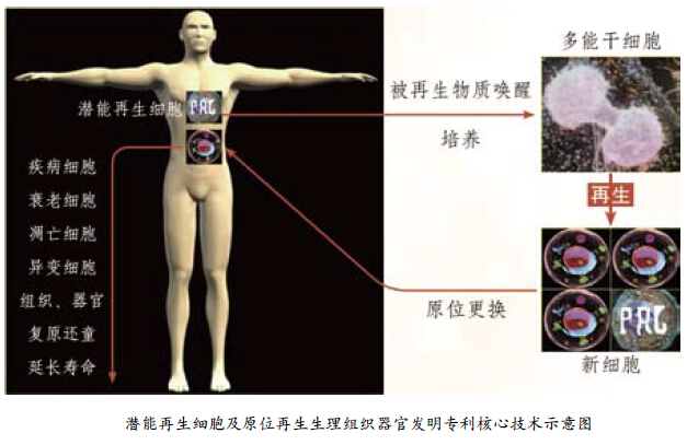不朽情缘(中国)官方网站入口