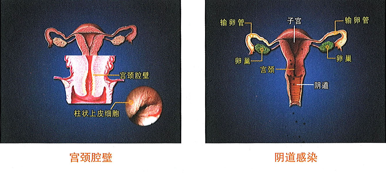 不朽情缘(中国)官方网站入口