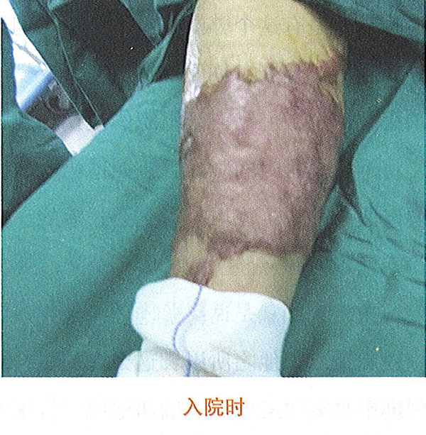 不朽情缘(中国)官方网站入口